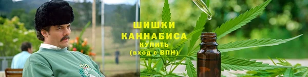 амф Богородицк