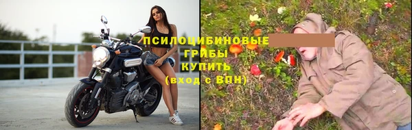 индика Верхнеуральск